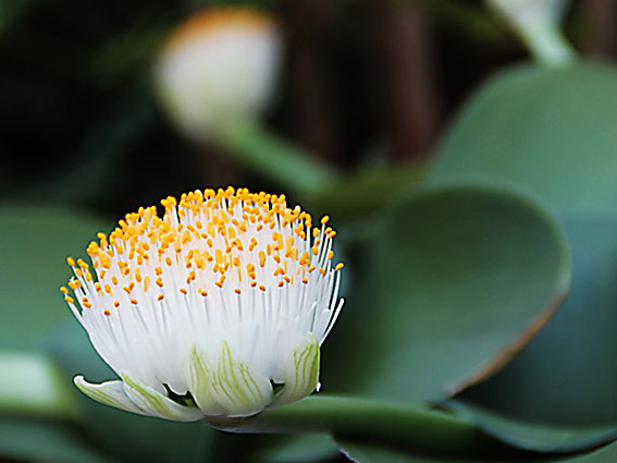 �n�G�}���c�X(2)