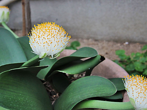 �n�G�}���c�X(3)