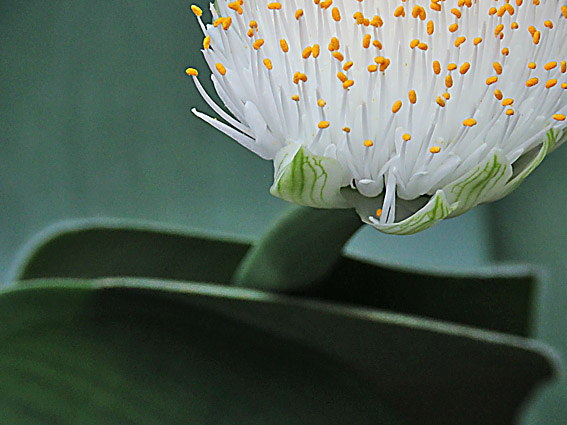 �n�G�}���c�X(4)