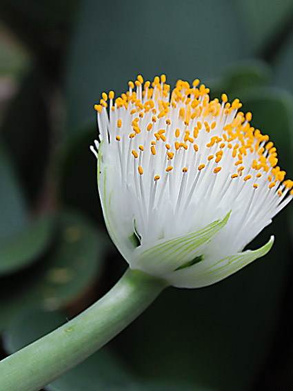 �n�G�}���c�X(1)