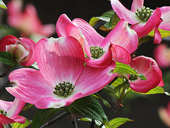 �n�i�~�Y�L(2)