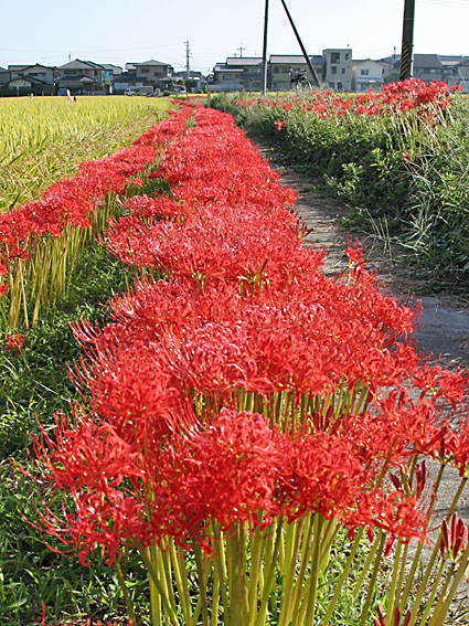 �q�K���o�ia