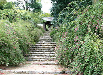 山門までの萩の階段