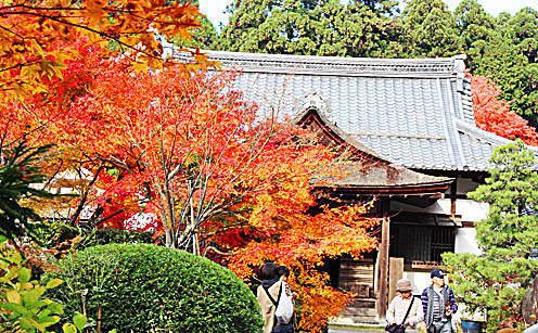 本坊（明寿院）