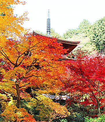 三重塔(1)