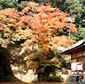 大阪・神峰山寺(2)