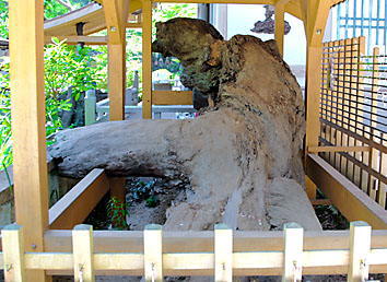 義経腰掛松