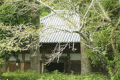本堂遠望