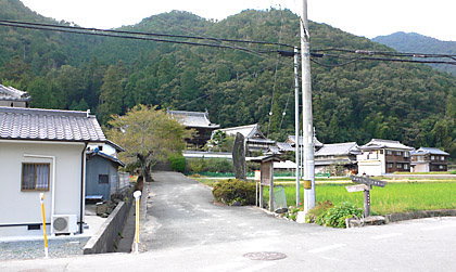 寺遠望