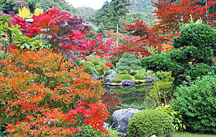 秋の庭園(2)