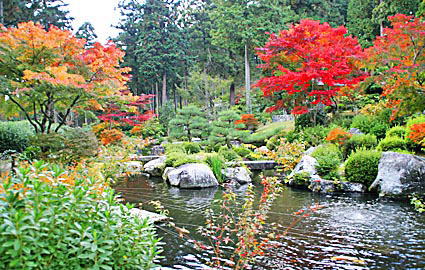 秋の庭園(3)