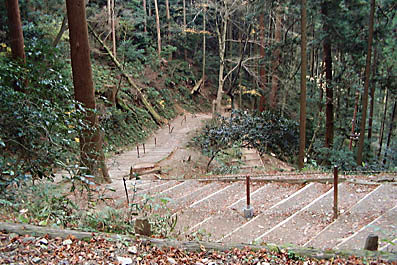 上醍醐への参道