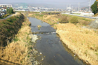 茨木川の河原